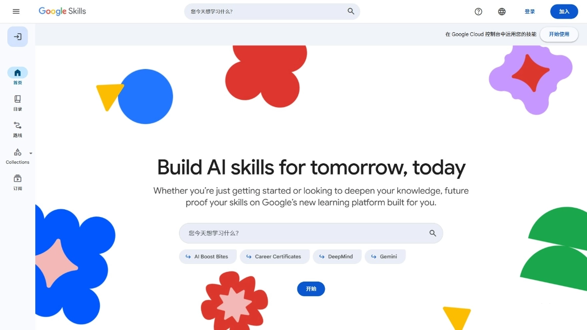 Google Skills